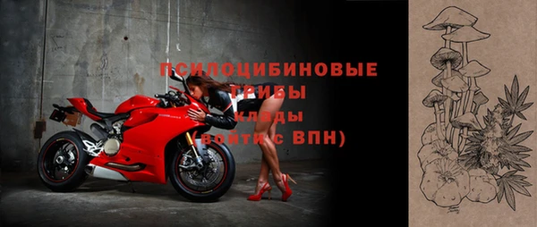 МДПВ Нязепетровск